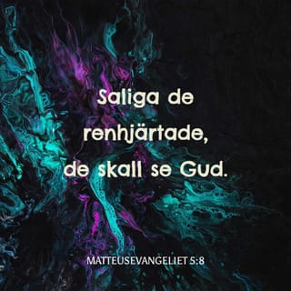 Matteusevangeliet 5:8 - Saliga de renhjärtade,
de skall se Gud.