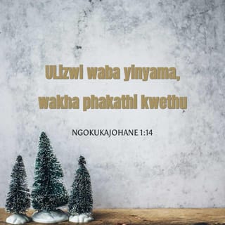 NgokukaJohane 1:14 - ULizwi waba yinyama, wakha phakathi kwethu, sabona inkazimulo yakhe, inkazimulo njengeyozelwe yedwa kuYise, egcwele umusa neqiniso.