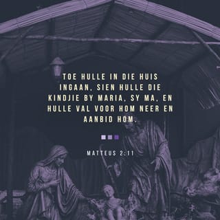 MATTEUS 2:11 AFR83