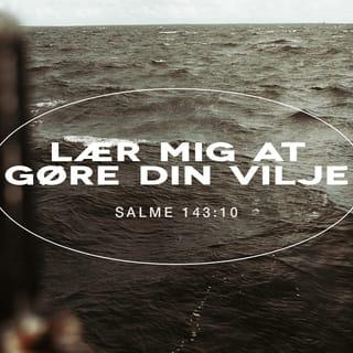 Salmernes Bog 143:10 BPH