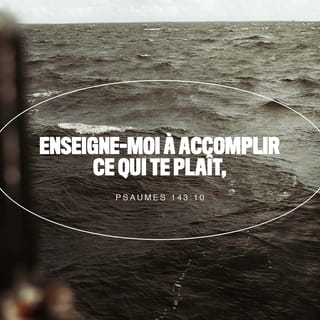 Psaumes 143:10 - Enseigne-moi ╵à accomplir ╵ce qui te plaît,
car tu es mon Dieu !
Que ton Esprit qui est bon me conduise ╵sur un sol aplani 