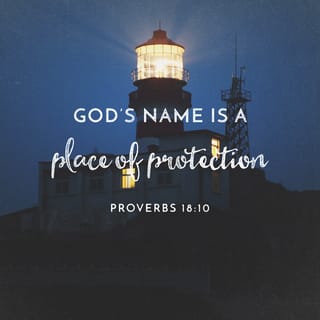 Proverbs 18:10 - The name of the LORD is like a strong tower;
the righteous person runs to it and is set safely on high.