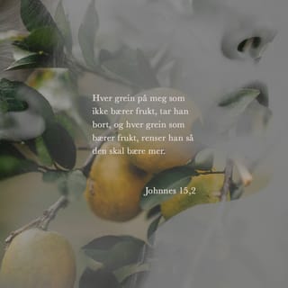 Johannes 15:2 - Hver grein på meg som ikke bærer frukt, tar han bort. Og hver den som bærer frukt, renser han, for at den skal bære mer frukt.