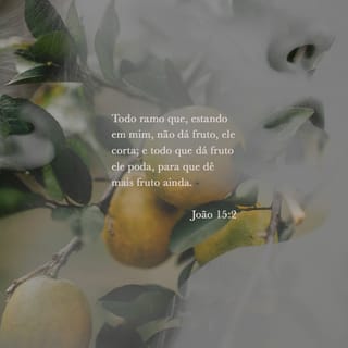 João 15:2 - Ele corta todo ramo que, estando em mim, não der fruto. E poda todo aquele que der fruto, para que dê mais fruto ainda.