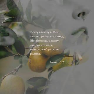 Від Іоана 15:2 - Він зрізує все галуззя, що не дає плодів. Він підрізає й чистить кожну гілку, що плід несе, і тоді вона ще більше плодоносить.
