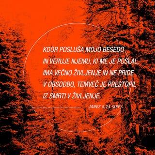 John 5:24 NCV