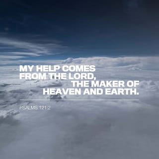 Psalms 121:1-2 - I lift up my eyes to the mountains—
where does my help come from?
My help comes from the LORD,
the Maker of heaven and earth.