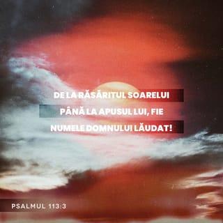 Psalmul 113:3 VDC