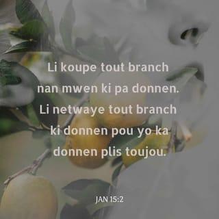 Jan 15:2 - Li koupe tout branch nan mwen ki pa donnen. Li netwaye tout branch ki donnen pou yo ka donnen plis toujou.