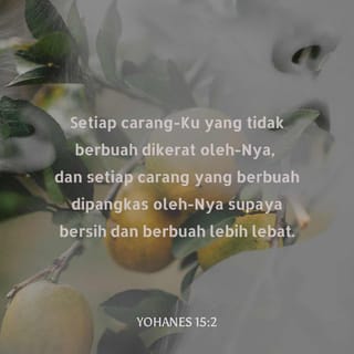 YOHANES 15:1-8 BM