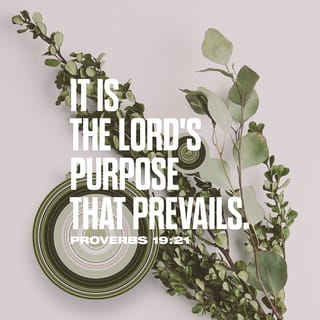 Proverbs 19:21 - The human mind may devise many plans,
but it is the purpose of the LORD that will be established.