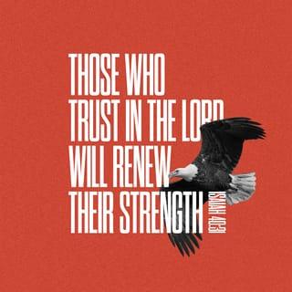 Isaiah 40:31 - But those who trust in the Lord will have their strength renewed. They will fly high with wings like eagles. They will run and not be tired. They will walk and not be worn out.