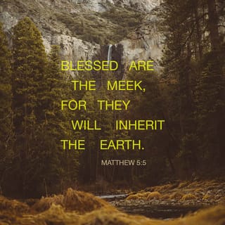 Matthew 5:5-9 - Blessed are the meek,
for they will inherit the earth.
Blessed are those who hunger and thirst for righteousness,
for they will be filled.
Blessed are the merciful,
for they will be shown mercy.
Blessed are the pure in heart,
for they will see God.
Blessed are the peacemakers,
for they will be called children of God.