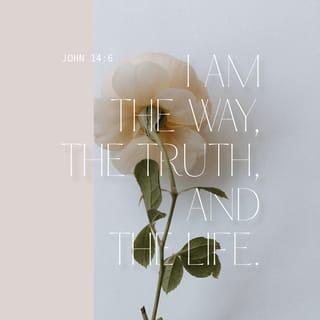 John 14:6 - Jesus answered him, “I am the way, the truth, and the life; no one goes to the Father except by me.
