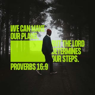 Proverbs 16:9 - A man’s heart deviseth his way;
But Jehovah directeth his steps.