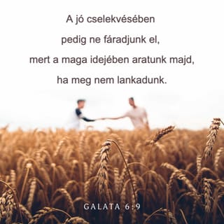Galátzia 6:9-10 HUNK
