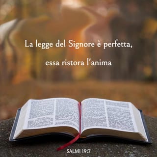 Salmi 19:7 - La legge del SIGNORE è perfetta, essa ristora l’anima; la testimonianza del SIGNORE è veritiera, rende saggio il semplice.