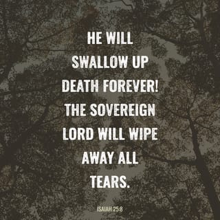 Isaiah 25:8 - He will destroy death forever,
and the Lord Yahweh will wipe off the tears from all faces,
and he will remove the disgrace of his people from all the earth,
for Yahweh has spoken.