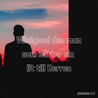 Jeremia 17:7-8 B2000