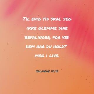 Salmene 119:93 NB