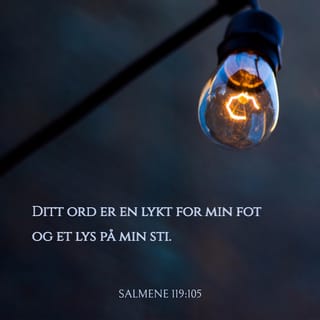 Salmenes bok 119:105 - Ditt Ord er en lykt for min fot og et lys på min sti.