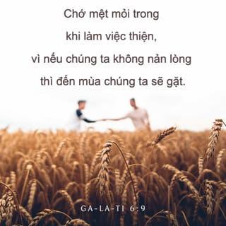 Ga-la-ti 6:9 - Chớ mệt mỏi trong khi làm việc thiện, vì nếu chúng ta không nản lòng thì đến mùa chúng ta sẽ gặt.