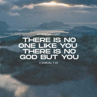 2 Samuel 7:22 - Therefore you are great, LORD God. For there is no one like you, neither is there any God besides you, according to all that we have heard with our ears.