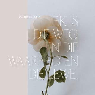 JOHANNES 14:6 AFR83