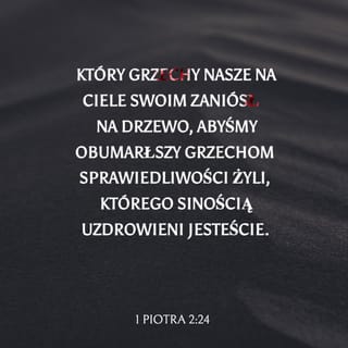 1 Piotra 2:24-25 SNP