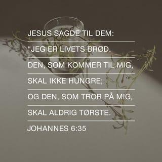 Johannesevangeliet 6:35 - Jesus sagde til dem: „Jeg er Livets Brød. Den, som kommer til mig, skal ikke hungre; og den, som tror paa mig, skal aldrig tørste.
