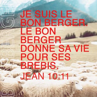 Jean 10:11 - Je suis le bon berger; le bon berger donne sa vie pour ses brebis.