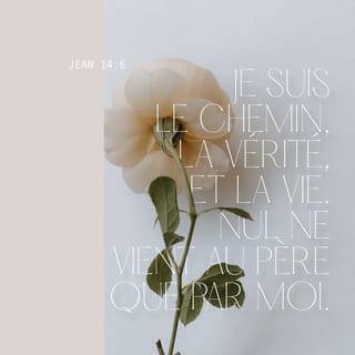 Jean 14:5-8 PDV2017