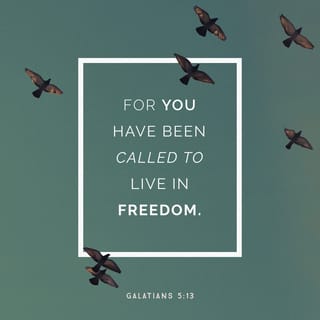 Galatians 5:13-14 - You, my brothers and sisters, were called to be free. But do not use your freedom to indulge the flesh; rather, serve one another humbly in love. For the entire law is fulfilled in keeping this one command: “Love your neighbor as yourself.”