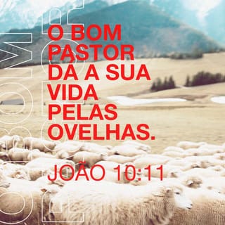 João 10:11 - ― Eu sou o bom pastor. O bom pastor dá a sua vida pelas ovelhas.