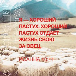 От Иоанна святое благовествование 10:11 - Я — пастырь добрый. Пастырь добрый душу свою полагает за овец.
