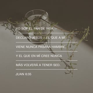 Juan 6:35 - —Yo soy el pan de vida —declaró Jesús—. El que a mí viene nunca pasará hambre y el que en mí cree nunca más volverá a tener sed.