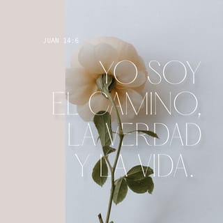S. Juan 14:6-7 RVR1960