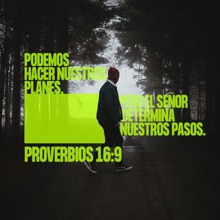 Proverbios 16:9 - Al hombre le toca hacer planes,
y al Señor dirigir sus pasos.