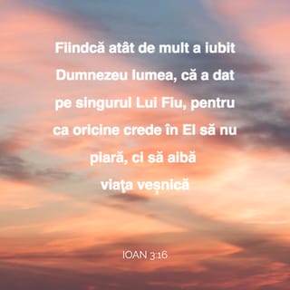 Ioan 3:16 VDC