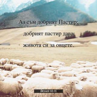 Евангелието според Йоан 10:11 - Аз съм добрият пастир. Добрият пастир живота си дава за овцете.