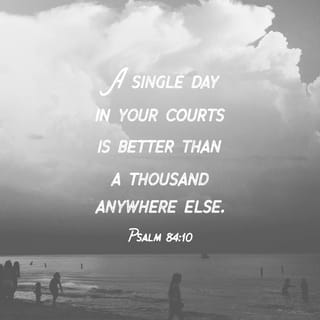 Psalms 84:10 - One day in your temple
is better than a thousand
anywhere else.
I would rather serve
in your house,
than live in the homes
of the wicked.