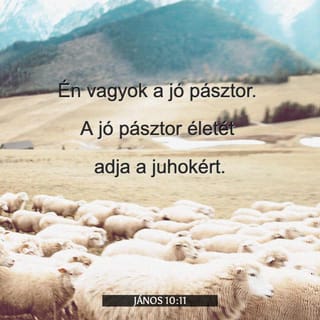 AZ ÖRÖMHÍR JÁNOS SZERINT 10:11 - Én vagyok a jó pásztor. A jó pásztor a lelkét adja oda a juhokért.