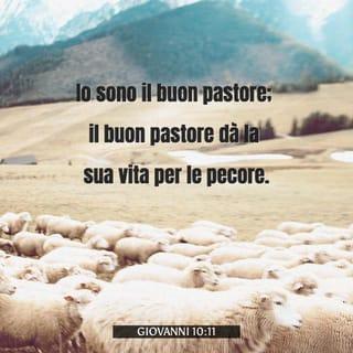 Giovanni 10:11 - «Io sono il buon pastore. Il buon pastore è pronto a dare la vita per le sue pecore.