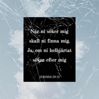 Jeremia 29:13 B2000