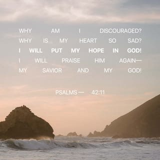 Psalms 42:11 - Why am I so depressed?
Why this turmoil within me?
Put your hope in God, for I will still praise Him,
my Savior and my God.