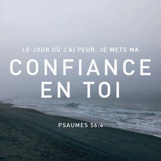 Psaumes 56:3 - Oui, mes adversaires, ╵à longueur de jour, ╵me harcèlent !
Car ils sont nombreux ╵ceux qui me combattent ╵avec arrogance.