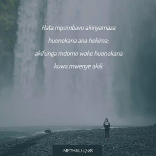 Methali 17:28 - Hata mpumbavu akinyamaza huonekana ana hekima;
akifunga mdomo wake huonekana kuwa mwenye akili.