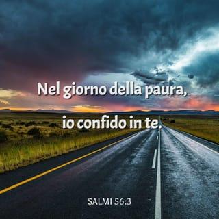 Salmi 56:3 NR06
