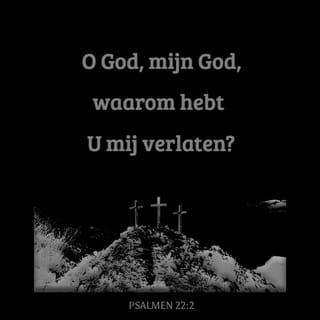 Psalmen 22:2 - Mijn God, mijn God, waarom heeft U mij verlaten?
Waarom redt U mij niet als ik schreeuw om hulp?