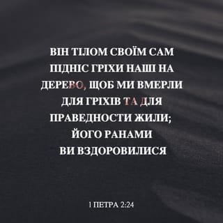 1-е Петра 2:24-25 UBIO